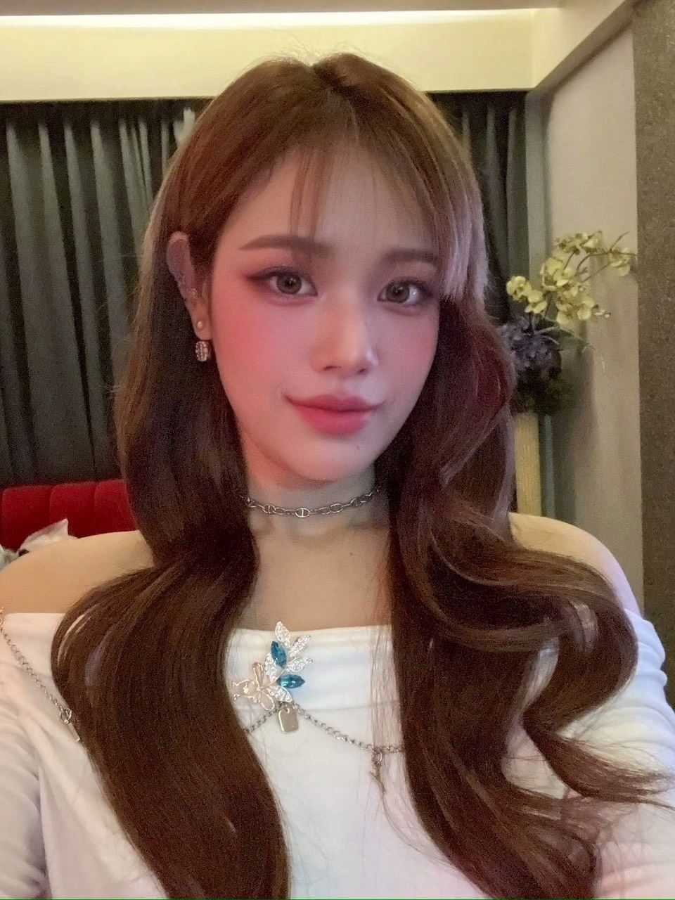 高雄定點茶-寶寶