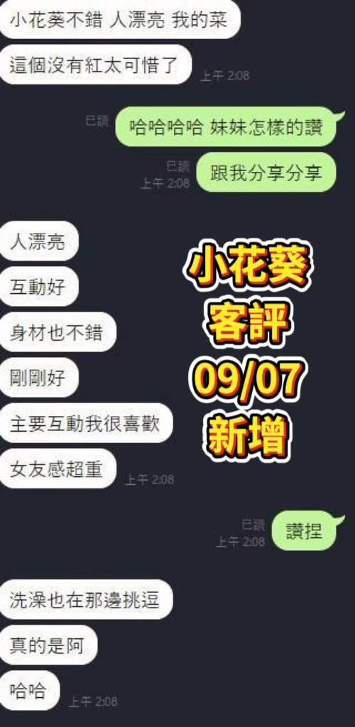 台南定點茶-小花葵